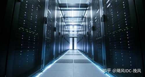 服務器租用與金盾防火墻成本解析 預算與安全防護指南